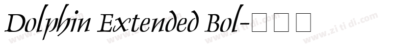 Dolphin Extended Bol字体转换
